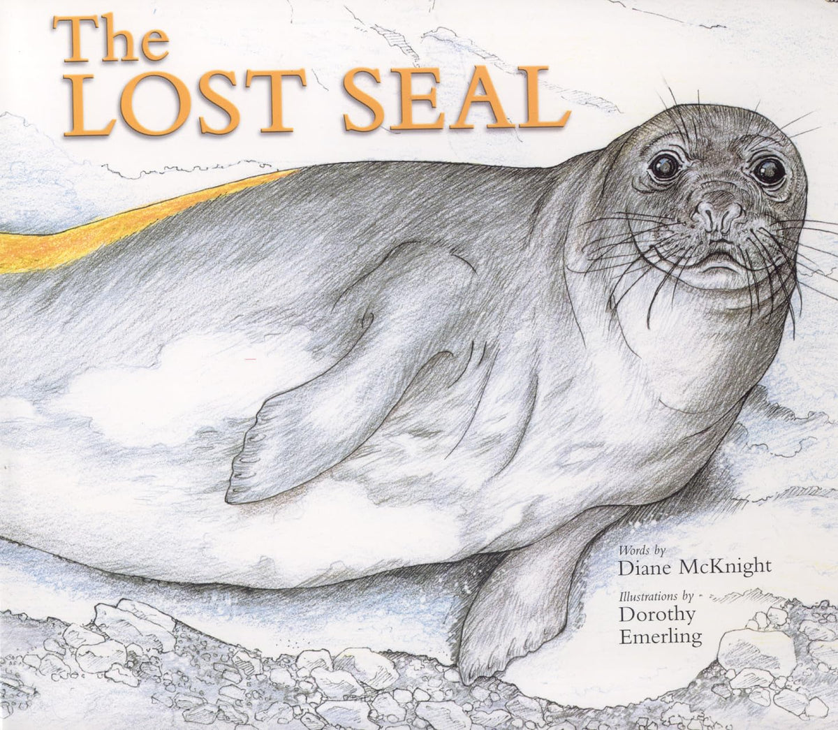 The Lost Seal (Long Term Ecological Research)