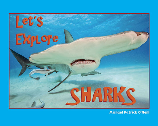 Let's Explore Sharks - 675