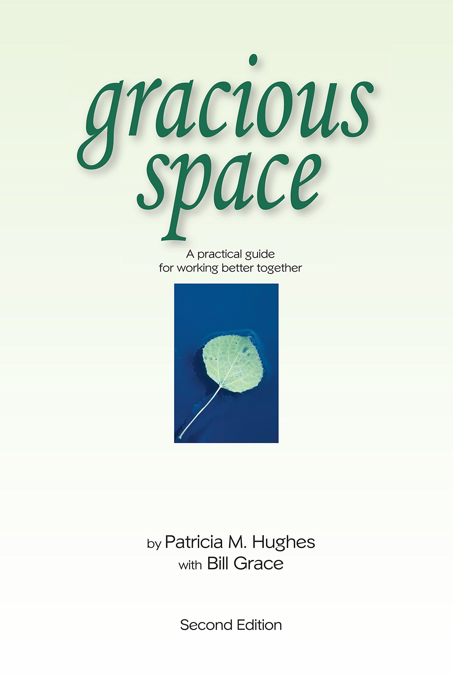 Gracious Space: A Practical Guide For Working Better Together