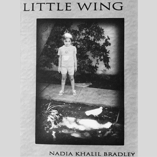 Little Wing - 2989