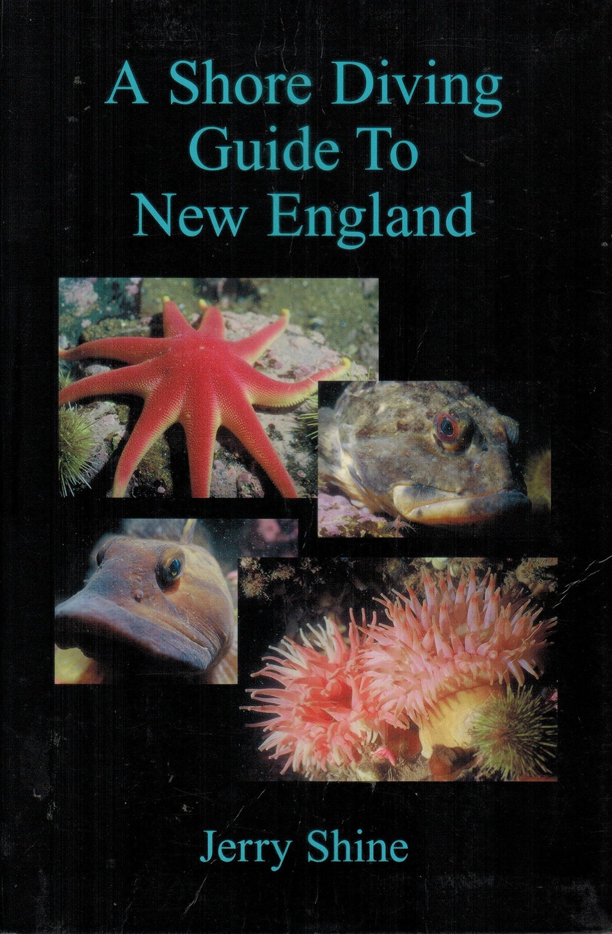 A Shore Diving Guide to New England