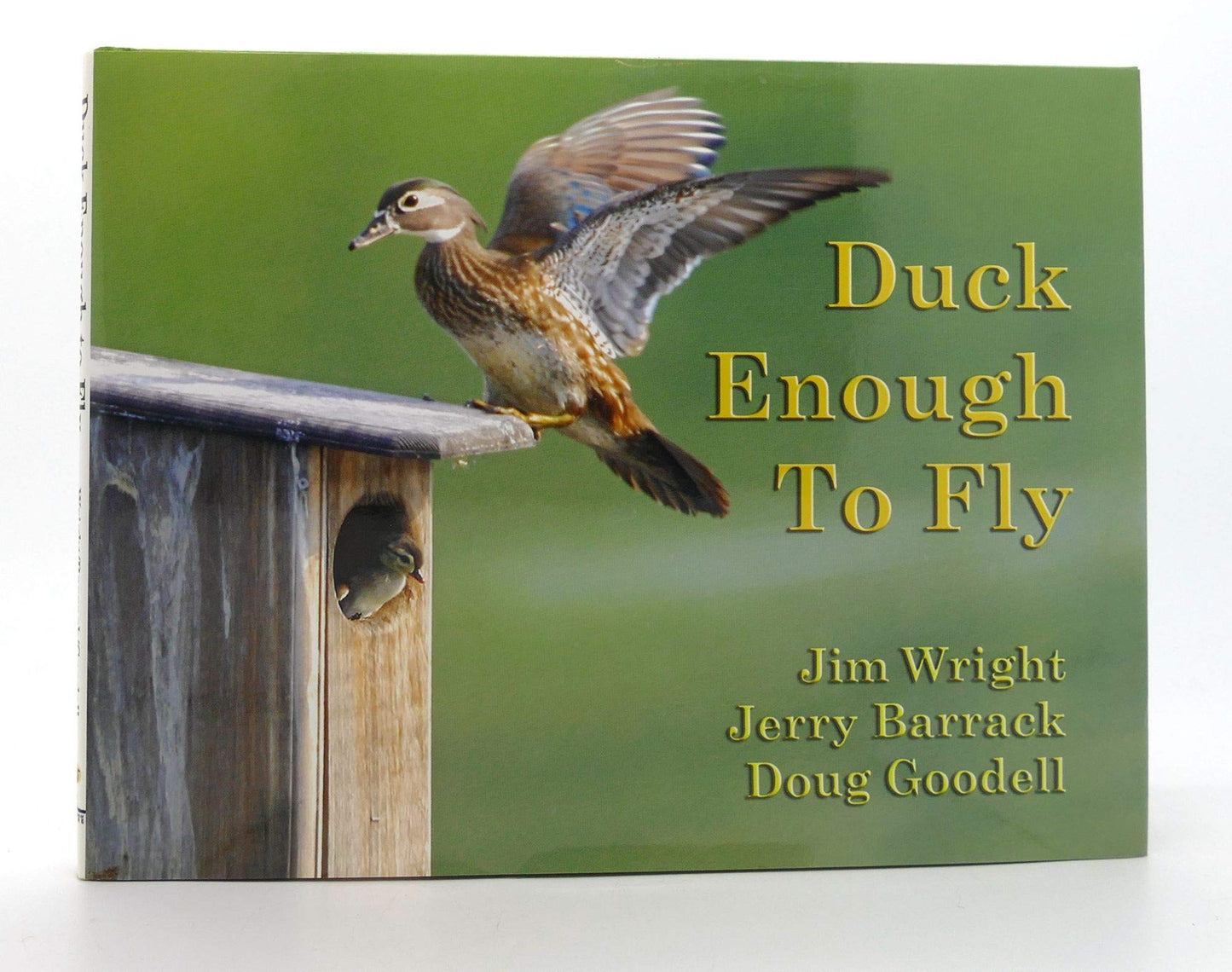 Duck Enough to Fly