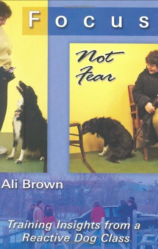 Focus, Not Fear: Training Insights from a Reactive Dog Class