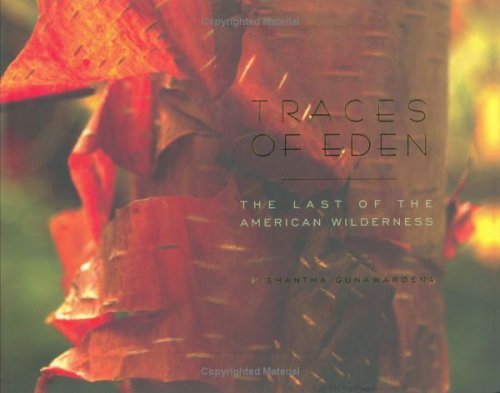 Traces of Eden: The Last of the American Wilderness - 6016