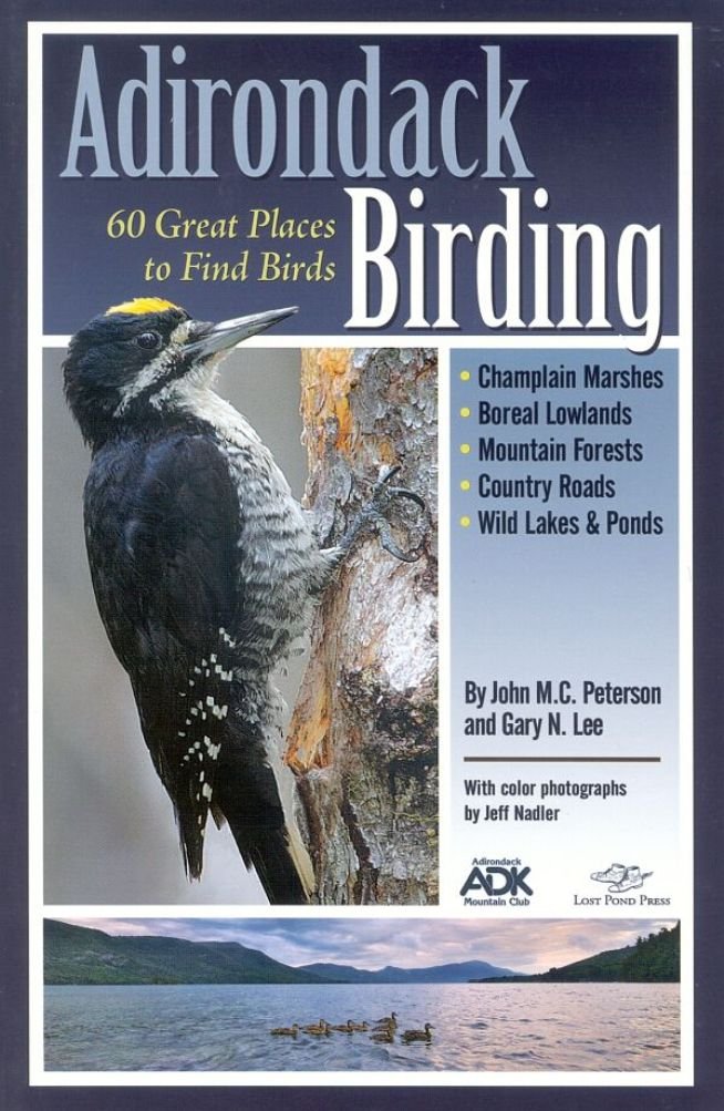 Adirondack Birding