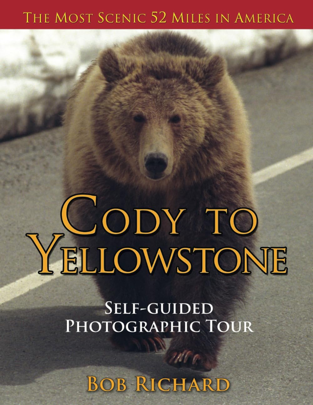 Cody to Yellowstone