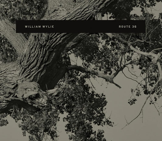 Route 36 (Flood Editions)
