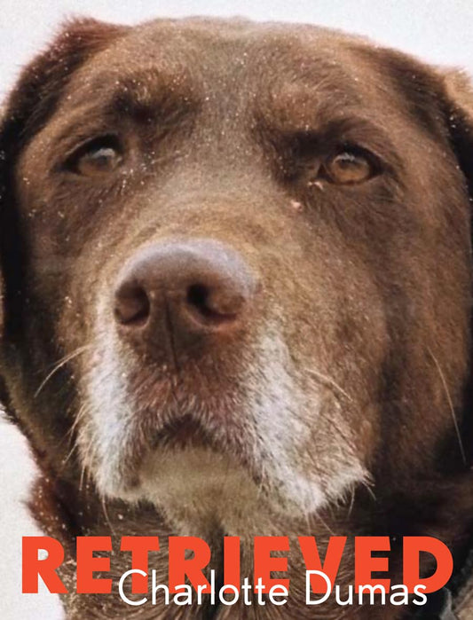 Charlotte Dumas: Retrieved (THE ICE PLANT) - 2448