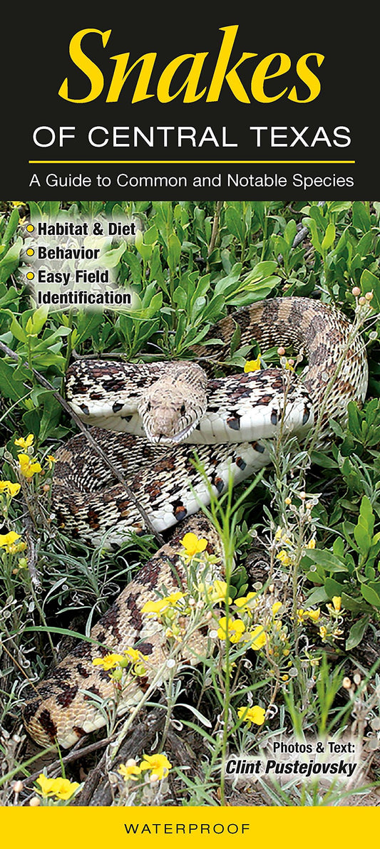 Snakes of Central Texas: A Guide to Common & Notable Species (Quick Reference Guides)