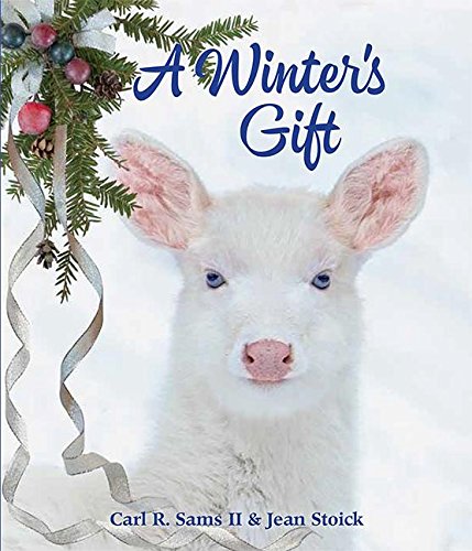 A Winter's Gift