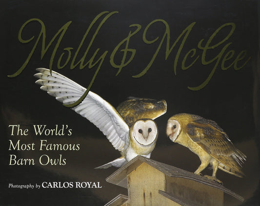 Molly & McGee: A Photo Gallery of the World's Most Famous Barn Owls