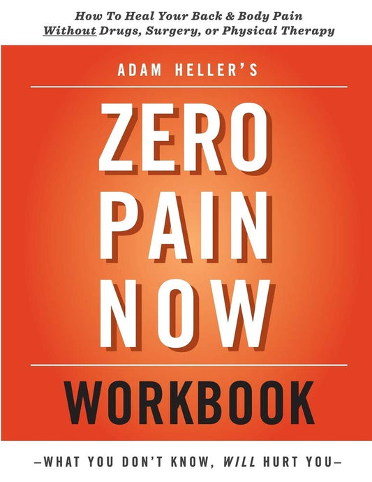 Adam Heller's Zero Pain Now Workbook - 541
