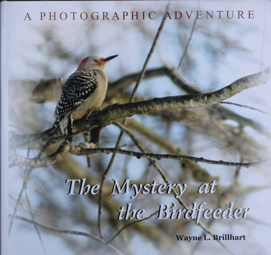 The Mystery at the Birdfeeder - 5631