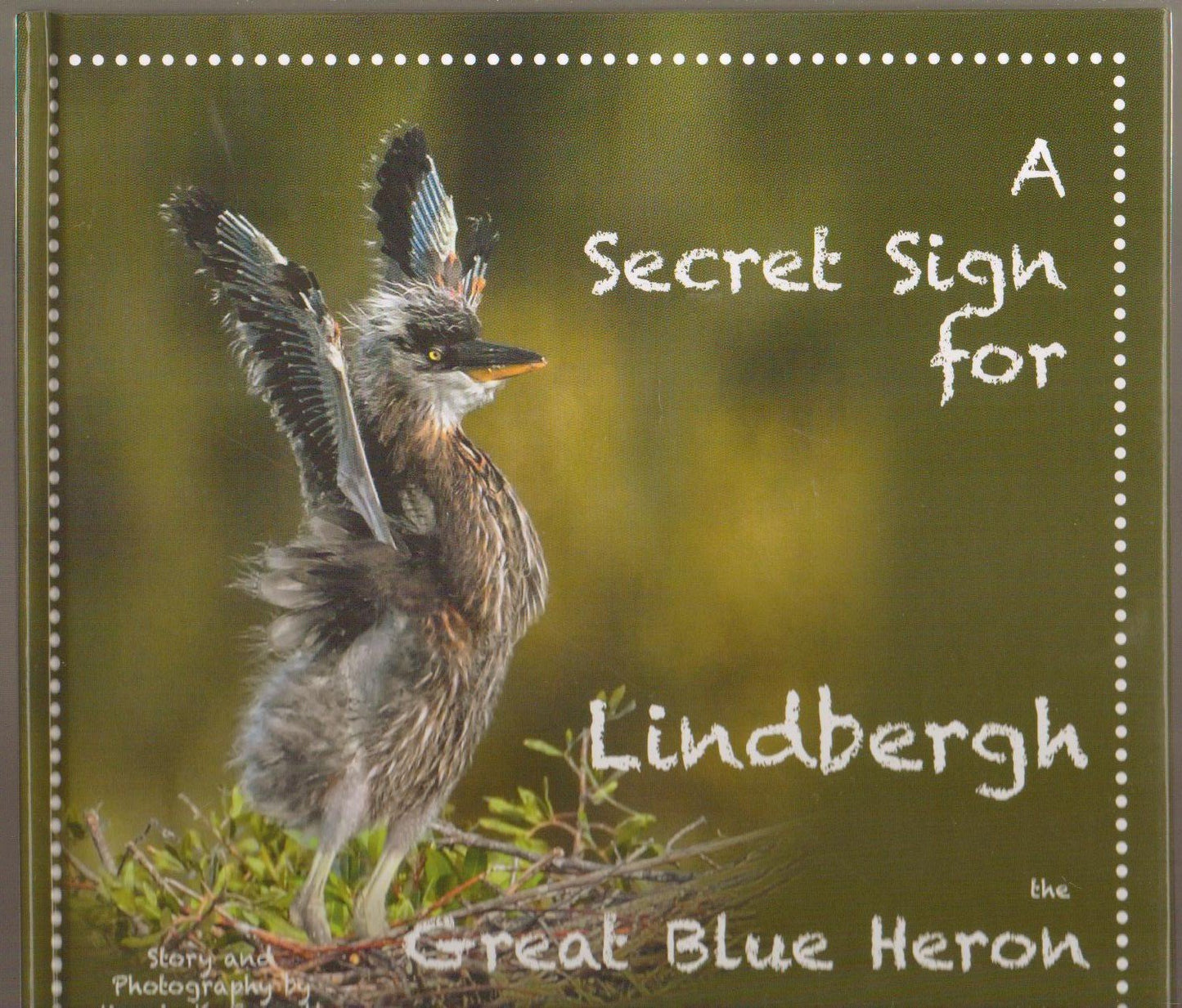 A Secret Sign for Lindbergh the Great Blue Heron