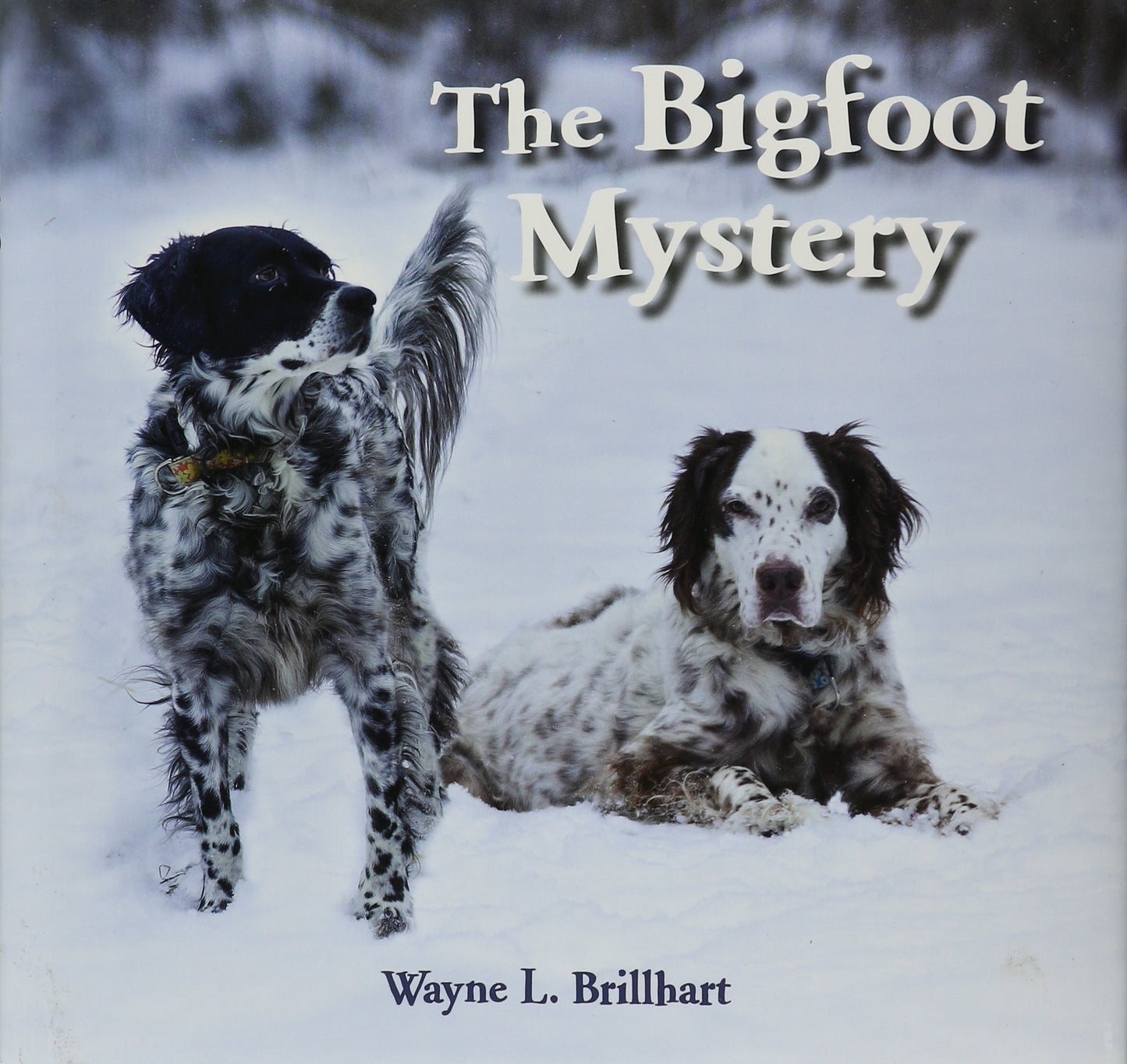 The Bigfoot Mystery