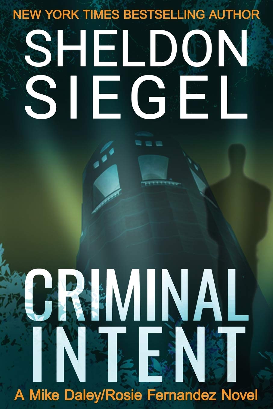 Criminal Intent (Mike Daley/Rosie Fernandez Legal Thriller)