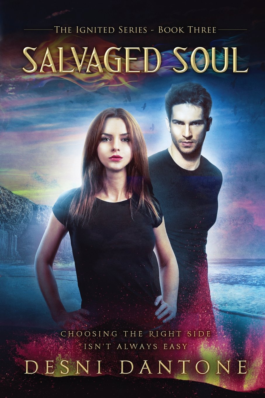 Salvaged Soul (The Ignited Series) - 4795