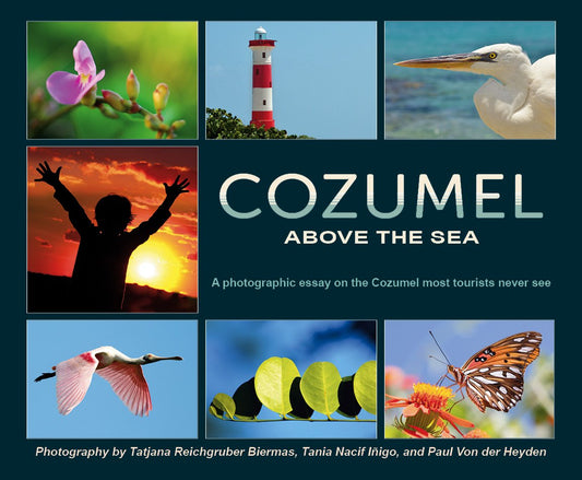 Cozumel Above The Sea