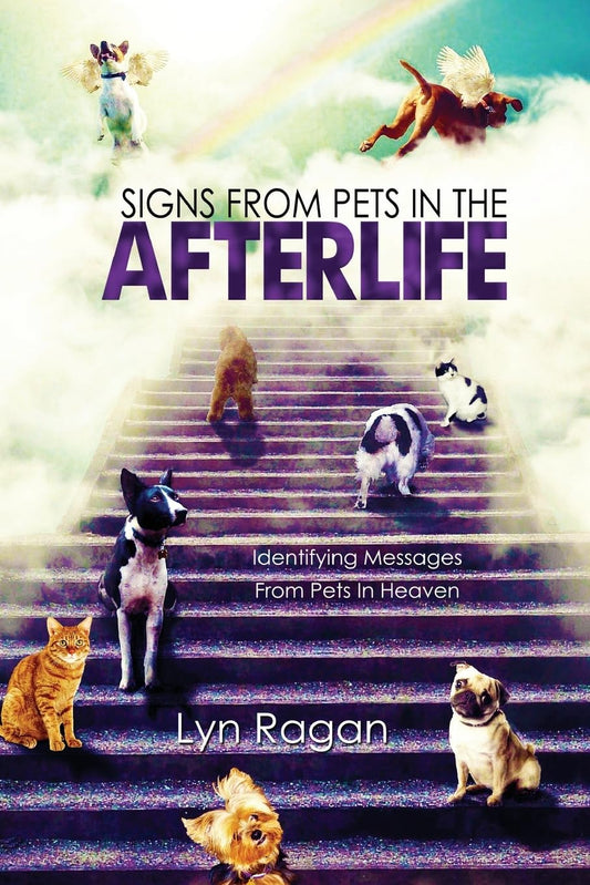 Signs From Pets In The Afterlife: Identifying Messages From Pets In Heaven - 158