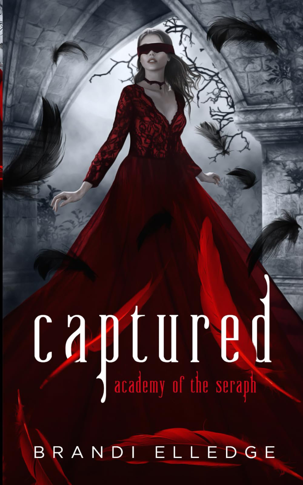 Captured: Academy of the Seraph