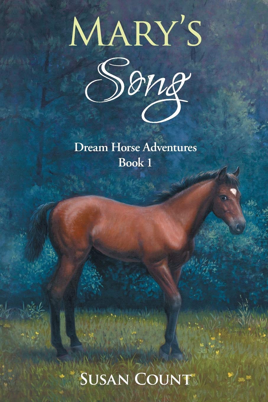 Mary's Song (Dream Horse Adventures) - 1995
