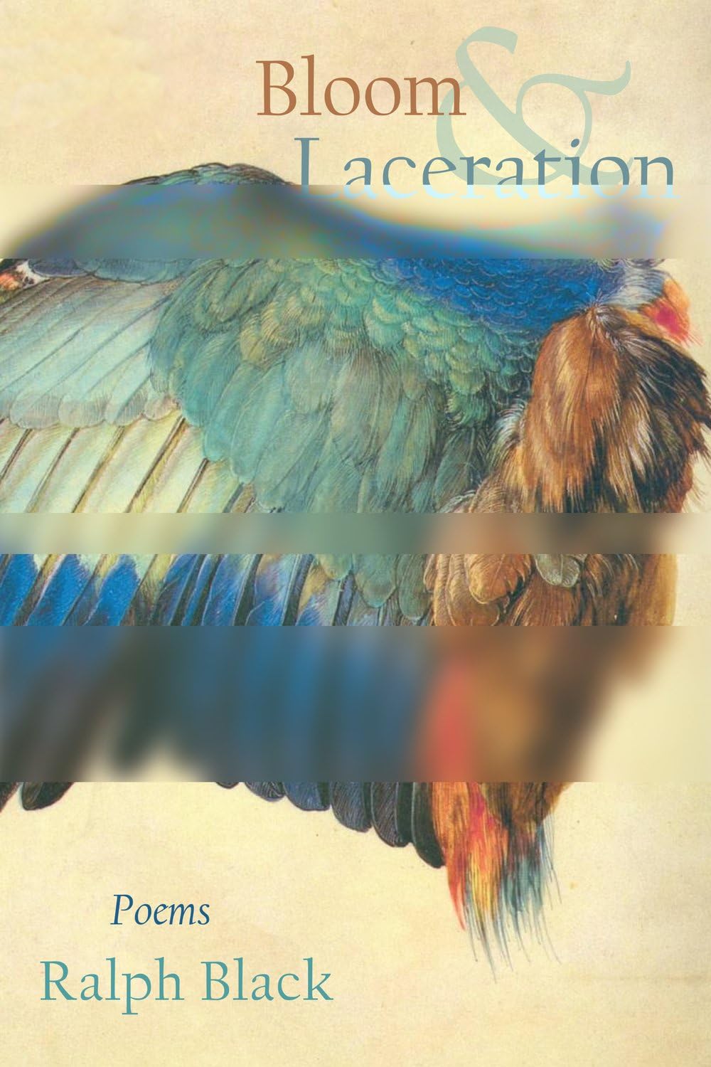 Bloom and Laceration: poems - 8988