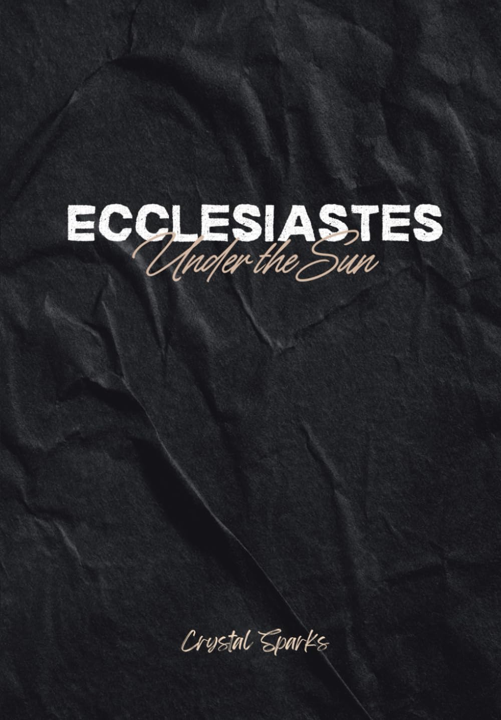 Ecclesiastes: Beginner Bible Study Guide Including Group Questions and Notes Section
