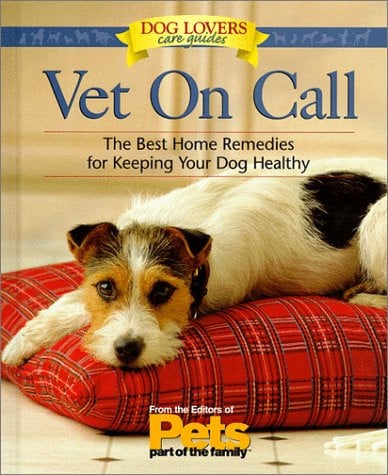 Vet on call: the best home remedies for keeping your dog healthy