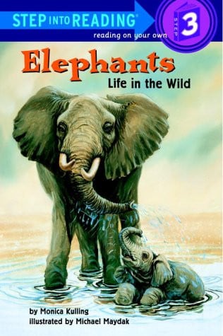Elephants: life in the wild
