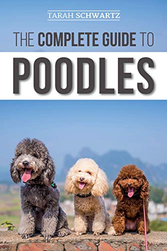 The Complete Guide to Poodles: Standard, Miniature, or Toy - Learn Everything You Need to Know to Successfully Raise Your Poodle From Puppy to Old Age - 11