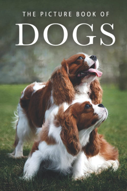 The Picture Book of Dogs: A Gift Book for Alzheimer's Patients and Seniors with Dementia (Picture Books - Animals)