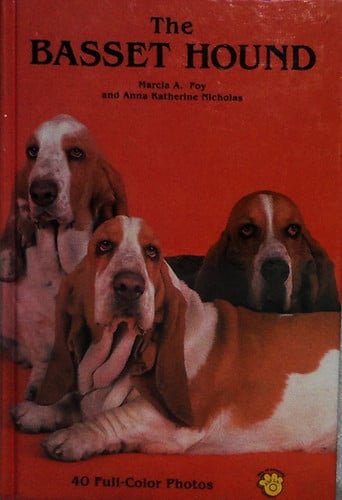 The basset hound