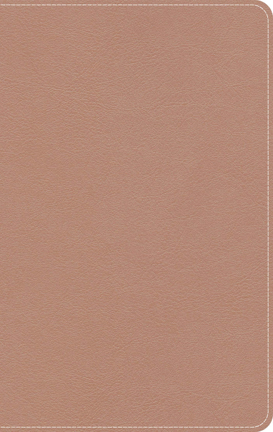 KJV On-The-Go Bible, Personal Size, Rose Gold LeatherTouch, Red Letter, Pure Cambridge Text, Presentation Page, Cross-References, Full-Color Maps, Easy-to-Read Bible MCM Type