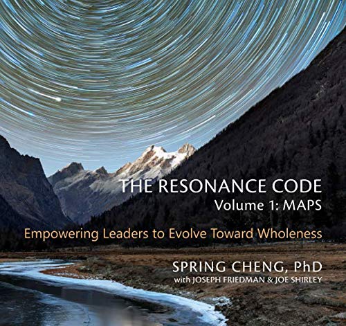The Resonance Code: Empowering Leaders to Evolve Toward Wholeness (Volume 1: Maps, Black & White Edition) - 9844