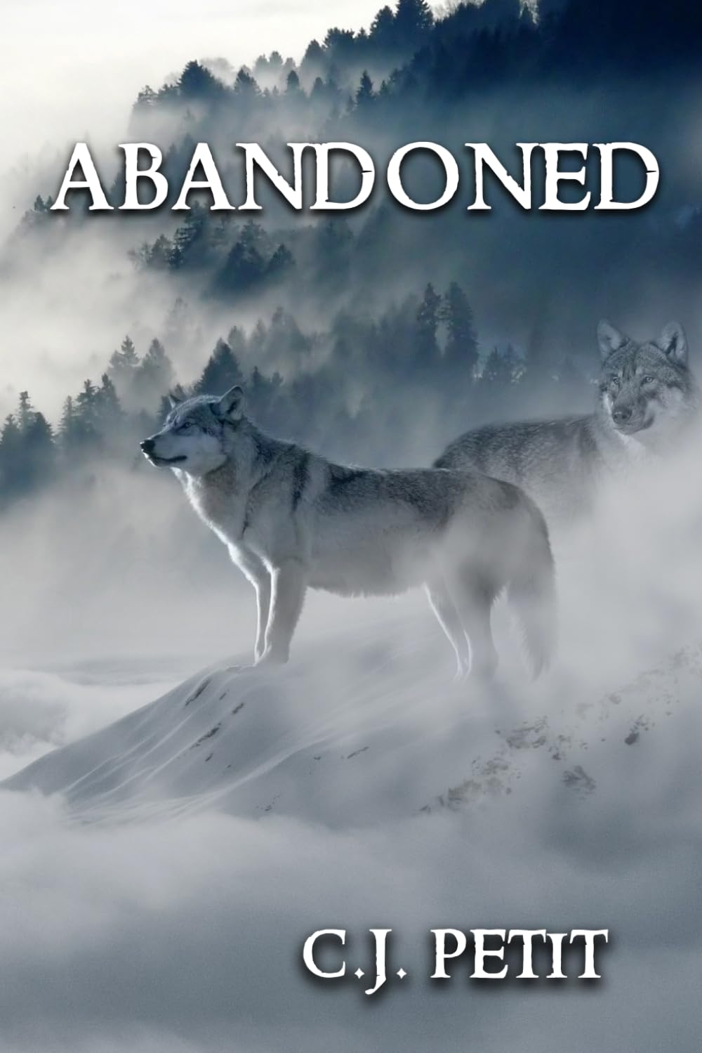 Abandoned