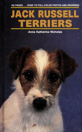 Jack Russell Terriers