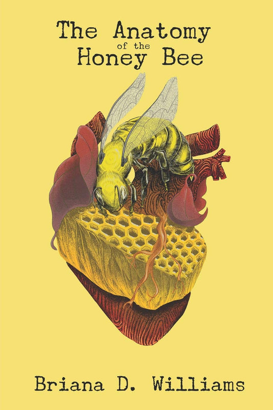 The Anatomy of the Honey Bee - 6154