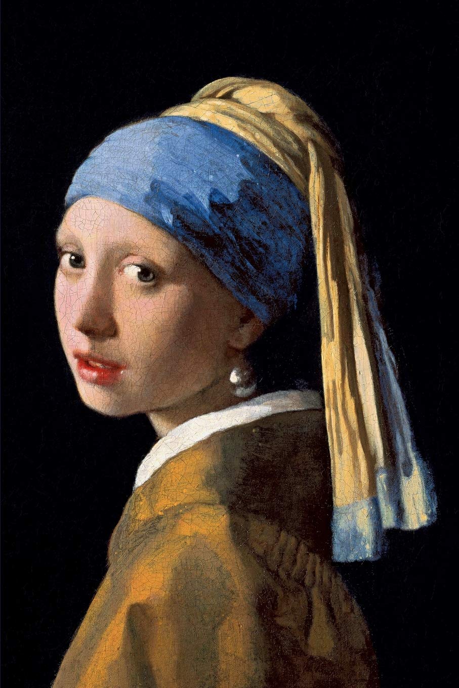 Girl with a Pearl Earring by Johannes Vermeer Journal - 2398