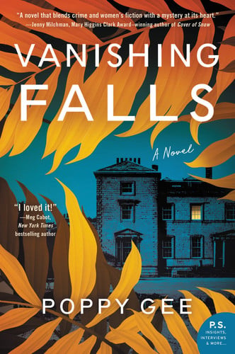 Vanishing Falls: a novel