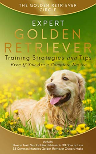 Golden Retriever: Expert Golden Retriever Training Strategies and Tips, Even If You Are a Complete Novice - 4535