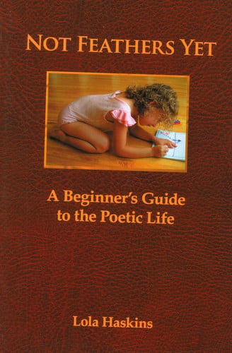 Not Feathers Yet A Beginner's Guide to the Poetic Life