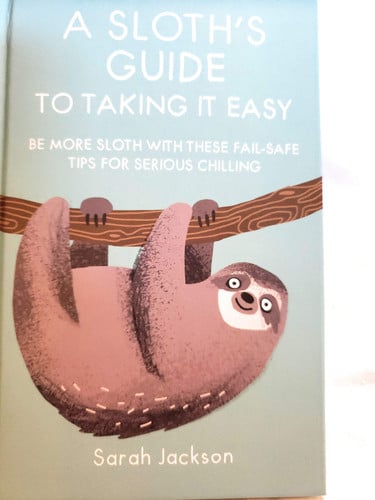 A Sloth's Guide to Taking it Easy