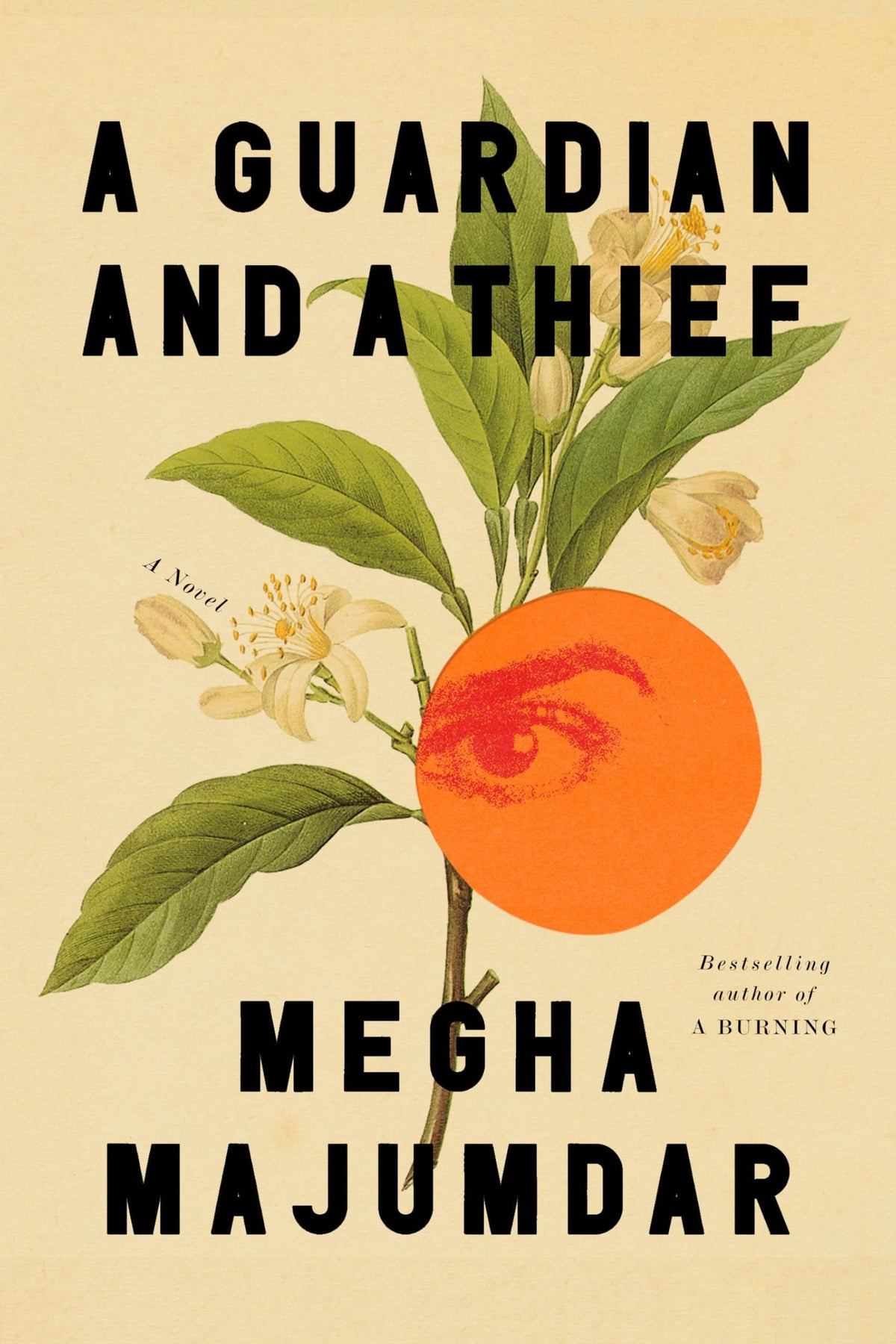 A Guardian and a Thief A Novel