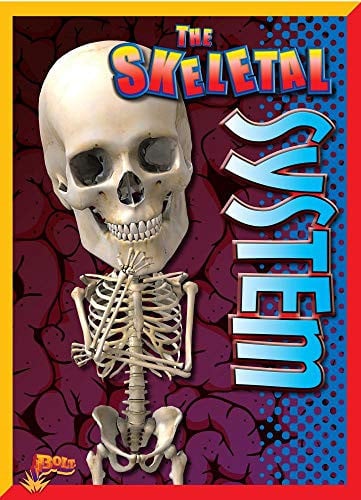 The Skeletal System