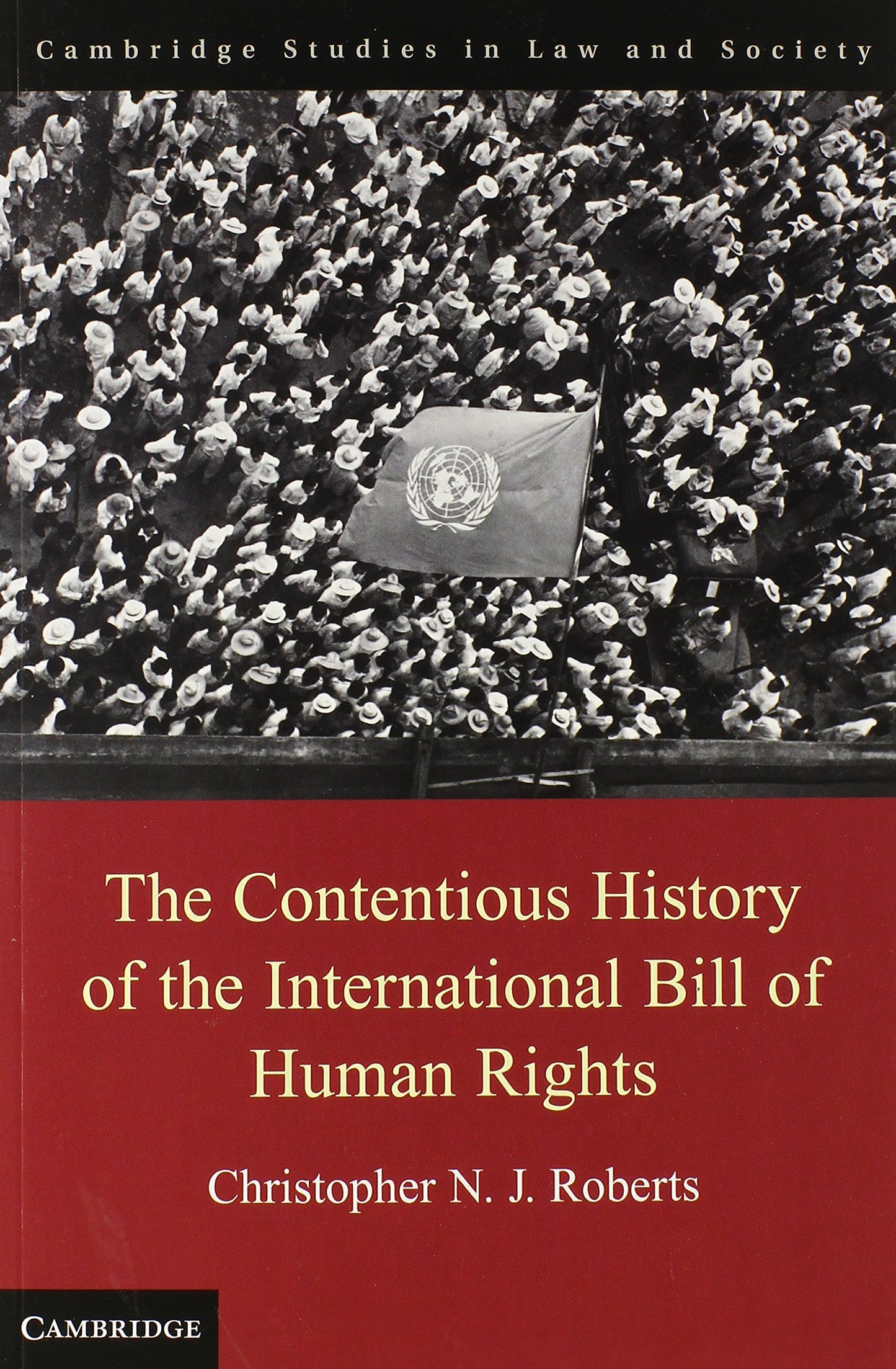 The Contentious History of the International Bill of Human Rights (Cambridge Studies in Law and Society)