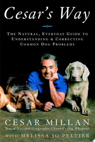 Cesar's way: the natural, everyday guide to understanding and correcting common dog problems