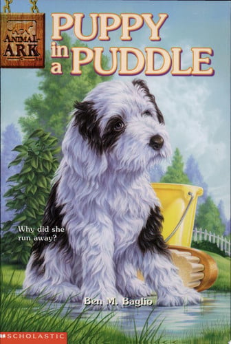 Puppy in a Puddle