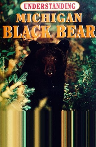 Understanding Michigan black bear: the truth about bears and bear hunting