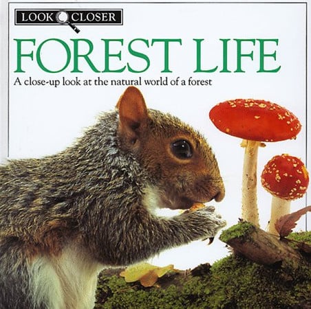 Forest Life