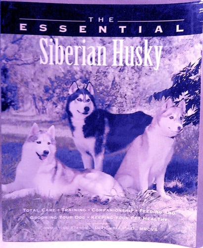 The Essential Siberian Husky